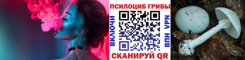 Псилоцибиновые грибы Psilocybe Невинномысск